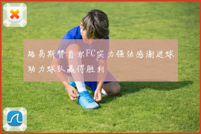 路易斯赞首尔FC实力强劲感谢进球助力球队赢得胜利