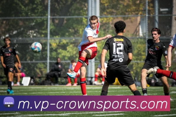 App Interface Preview