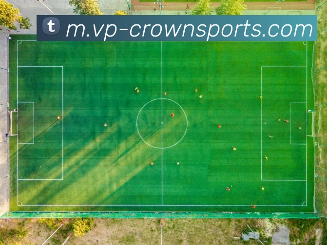 皇冠体育APP 封面图